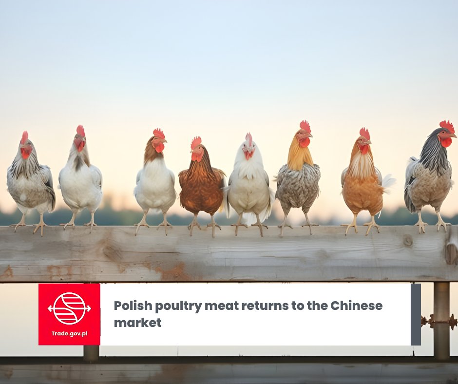 🐔After a break of several years, Poland is reopening opportunities for exporting poultry meat to China. This is the result of the signing of an agreement between the Minister of Agriculture and Rural Development Stefan Krajewski and the Deputy Minister of the General