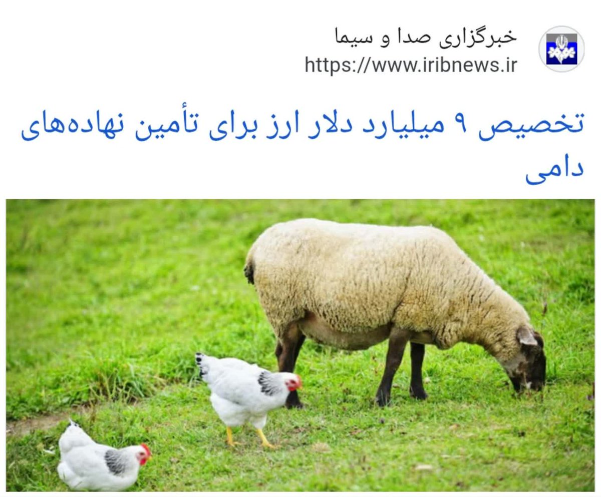‌۹۱۰ هزار میلیارد تومن ، با ارز ۲۸۵۰۰ تومنی دادن به دلال ها برای واردات نهاده های دامی.
یعنی از جیب هر خانوار ۴ نفره ۴۰میلیون تومان دادن

یعنی با دلار ۲۸۵۰۰ تومنی گوشت باید کیلو ۲۰۰ هزار تومن و مرغ کیلو ۶۰ هزار تومن باشه.

مملکت نیست که ، دزد خونه ست..