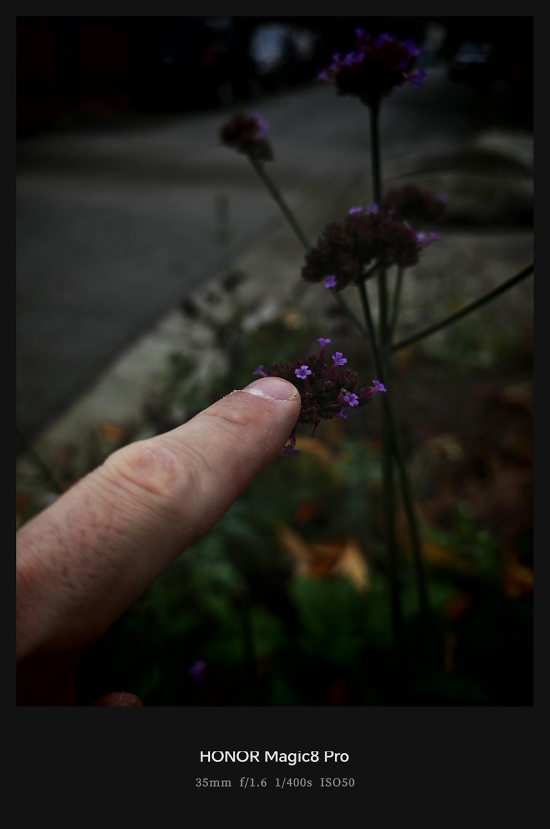 ISAQUES81's tweet image. Honor Magic 8 Pro - Telemacro Shot 😍

Credits: @Frankforphones 
#HonorMagic8Pro #shotonsnapdragon