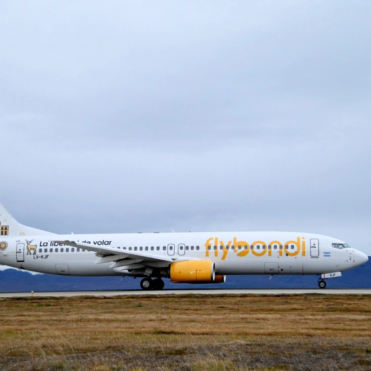 Instituto Fueguino de Turismo tweet media