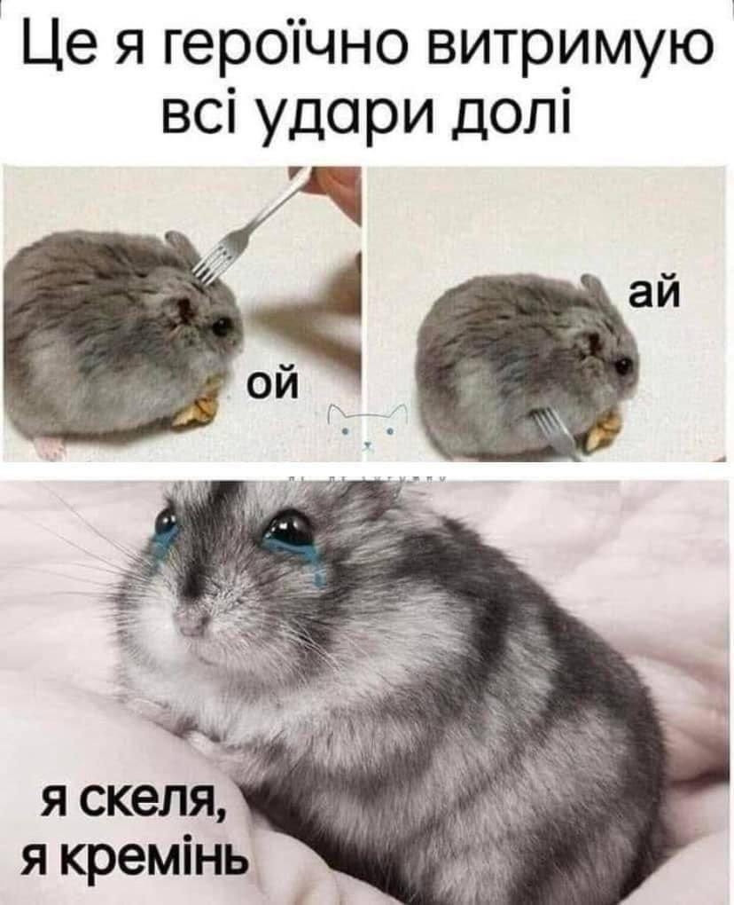 Щас буду плакоть через то, шо цей збір дурацький не збираєцця(
send.monobank.ua/jar/47iKEFgppv