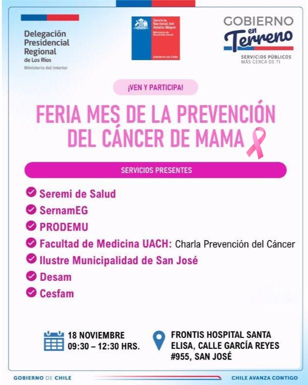 🎀 ¡Nos vemos mañana en San José de la Mariquina! 

Estaremos presentes con una charla sobre prevención del cáncer de mama, además de un stand informativo para la comunidad.

📅 Martes 18 de noviembre
🕘 09:30 a 12:30 hrs.
📍 Frontis Hospital Santa Elisa
Calle García Reyes #955