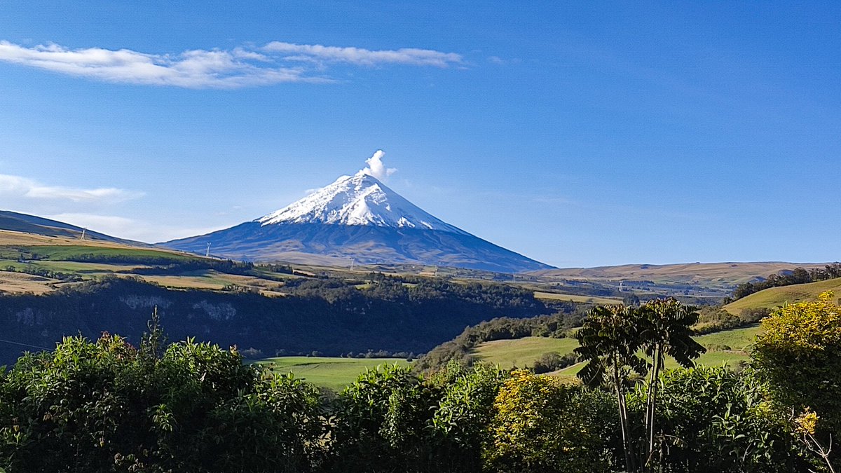 Sandy Espinoza F tweet media