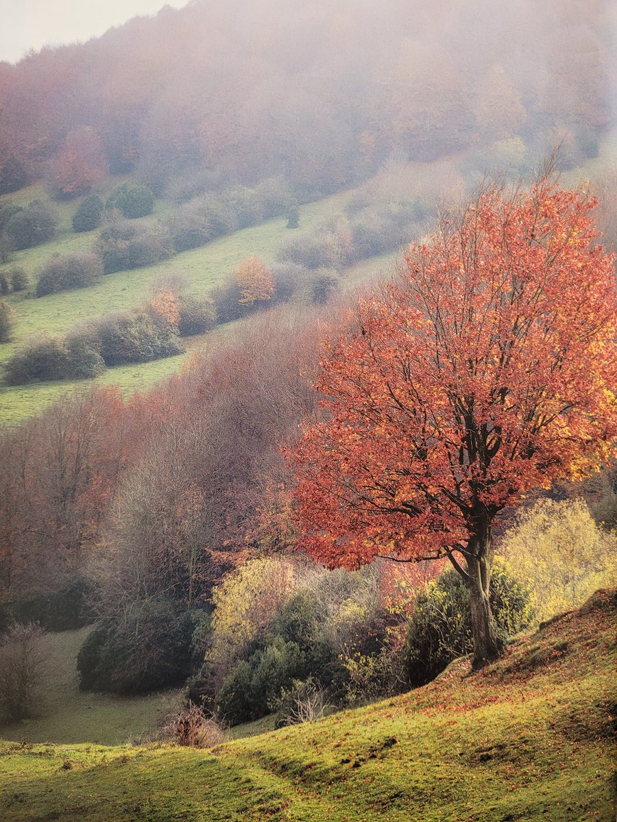 Bon dia, Roser! 😘