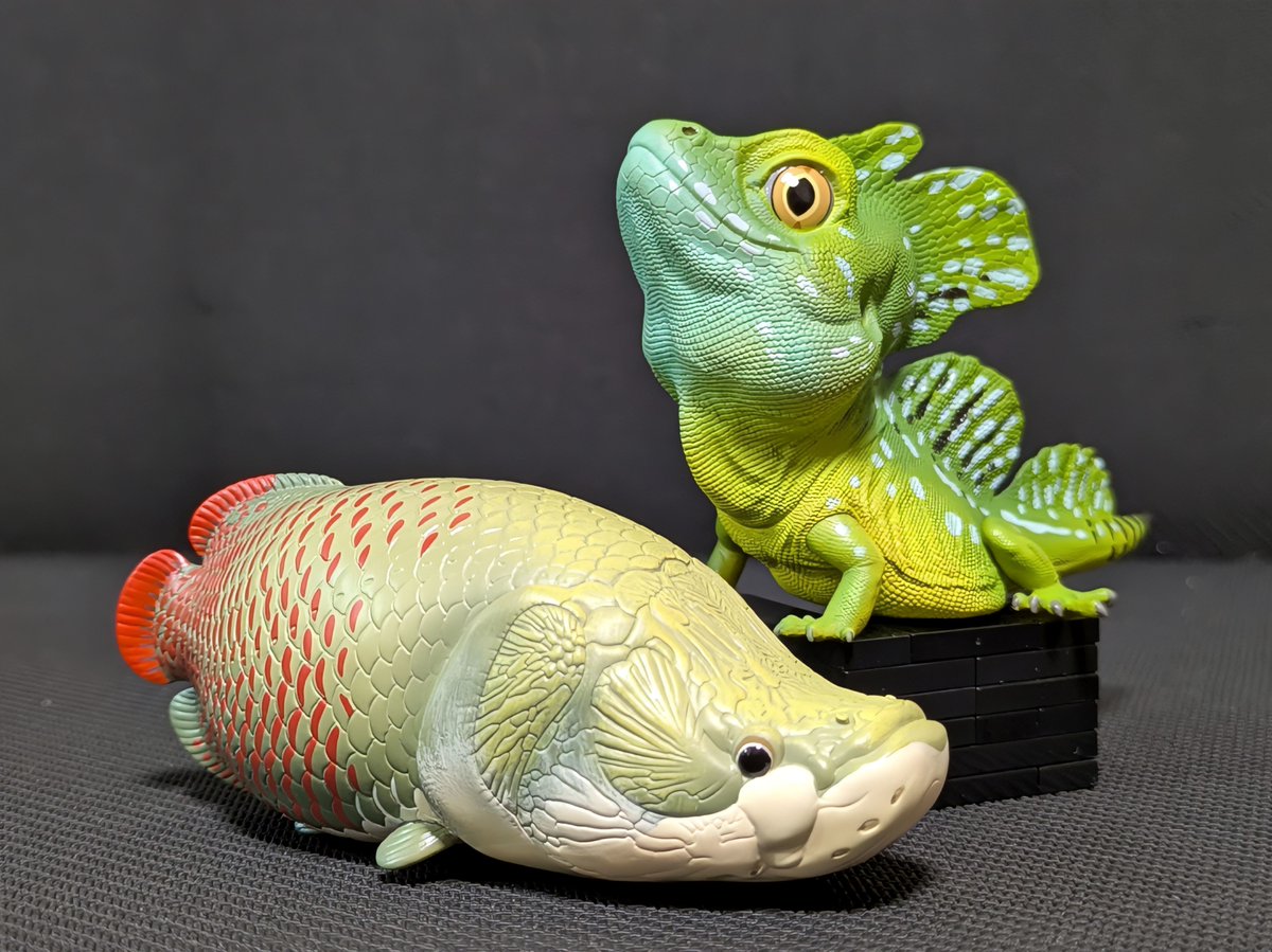 動物の惑星〜アニマルプラネット (@animal2023jp) / Posts / X