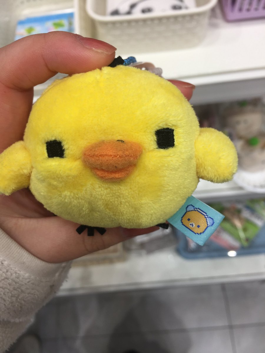 🍄 (@asfdtc) on Twitter photo 