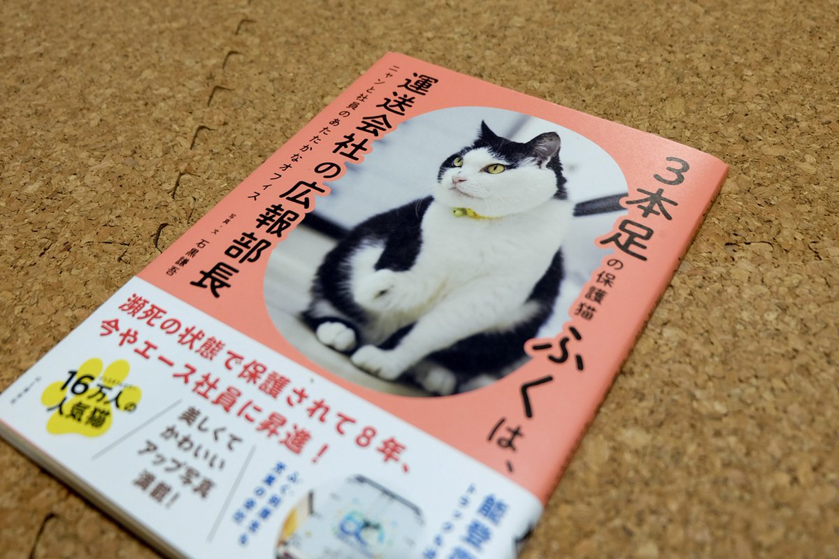 山と渓谷社様より新刊『3本足の保護猫ふくは、運送会社の広報部長』を