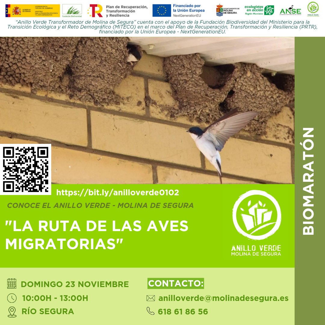 Ayuntamiento de Molina Segura tweet media