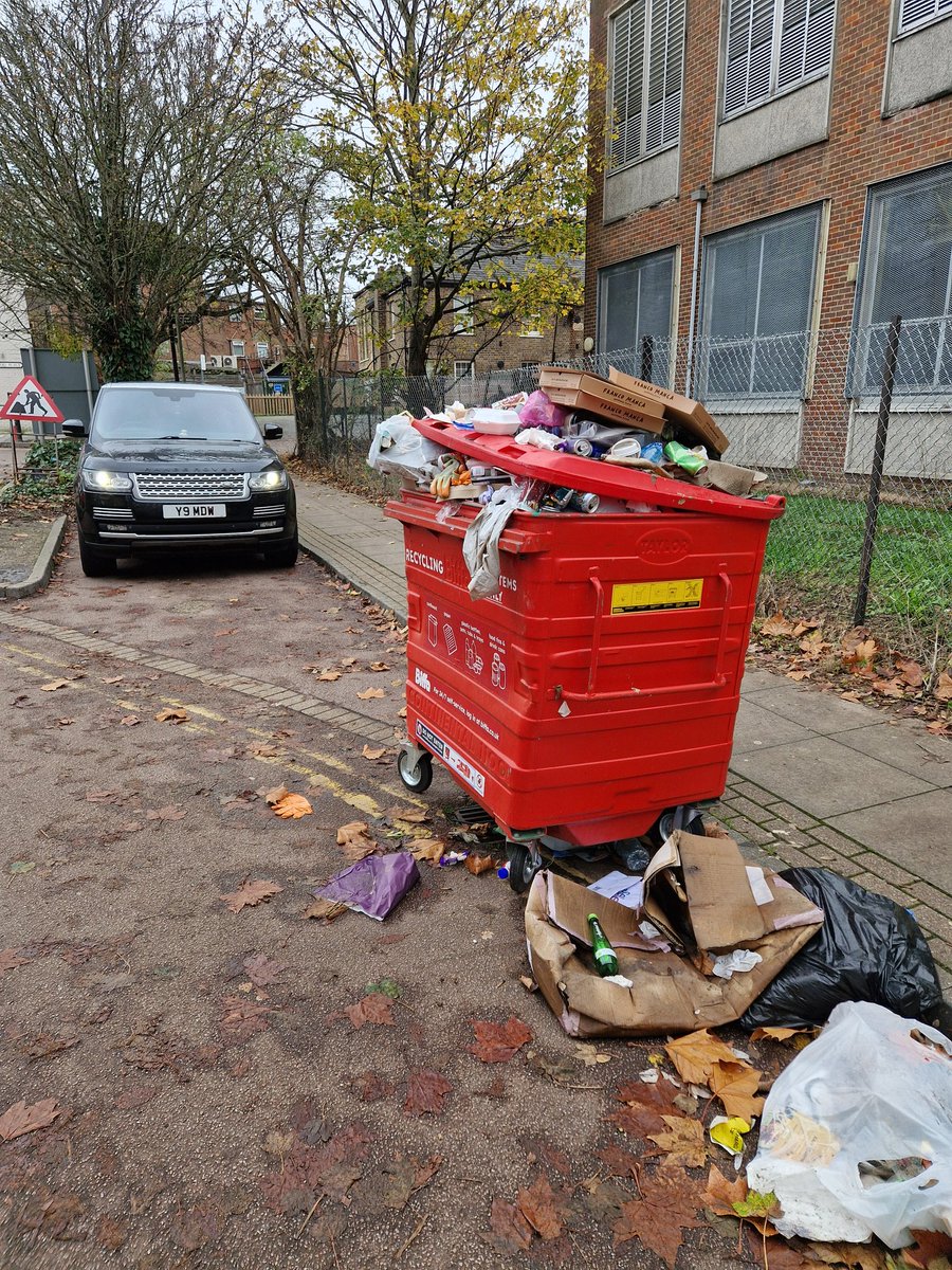 Ghost of Goose tweet media