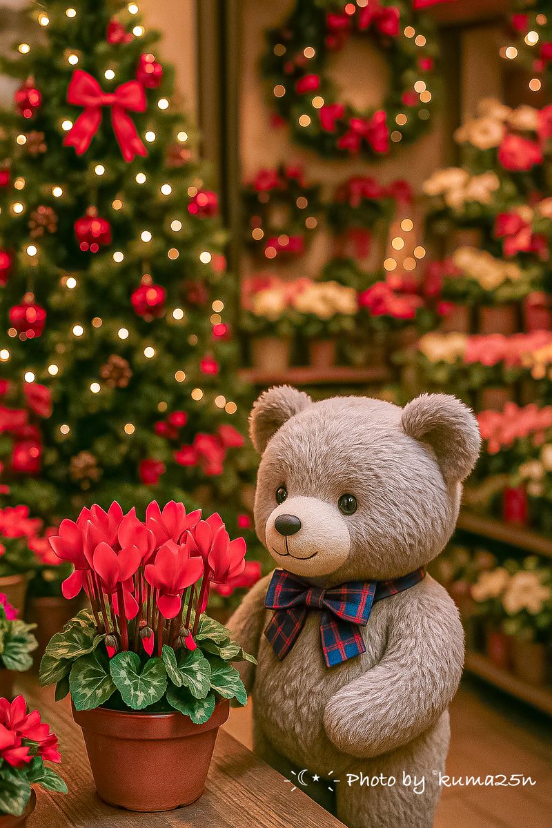 今日も暖かい一日でした😊✨

この暖かさがしばらく続いたらいいのに…
明日からは冷え込むらしいですね❄️…

皆さまお身体に気をつけて✨
今日もたくさんのリプ、いいね、RPをありがとうございました😆

🌺✨May these cyclamen whisper warmth to your heart tonight.✨

おやすみなさい🌙💤✨🧸ིྀ