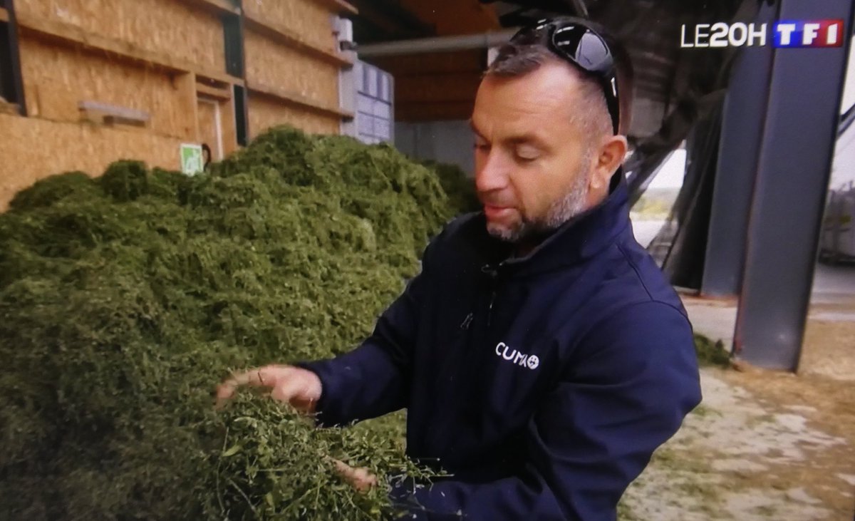 [VIDEO] Du Soja du Brézil à la luzerne de Sassy en Normandie. Témoignage de Stéphan Bréhon et Pierre Aumont, salariés de Secoppa, diffusé au JT de 20h sur TF1. Pour visionner le reportage, cliquez sur le lien suivant : urlr.me/Fjk9tQ
SECOPPA : secoppa.fr