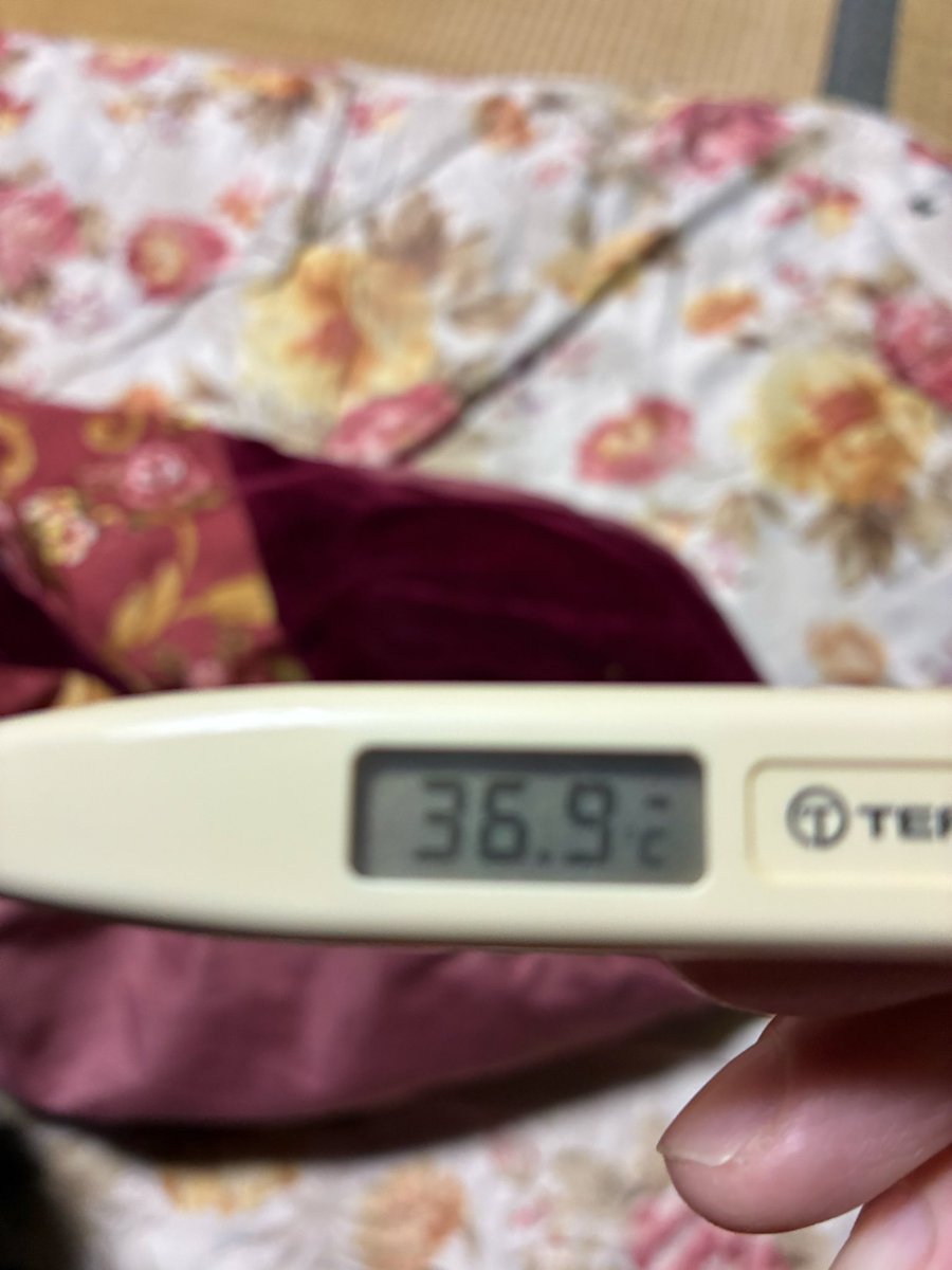 熱は下がりました。
しかし咳😷・鼻水🤧・頭痛がまだ残るので完治まで声出し配信はおやすみします🙏
枠周りも控えめになります💦