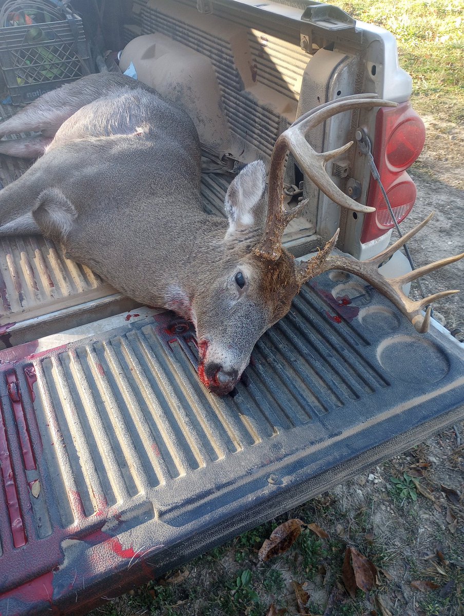 My son was happy to get this nice buck.