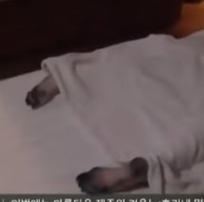 hollievamp's tweet image. lembrei de alguém...