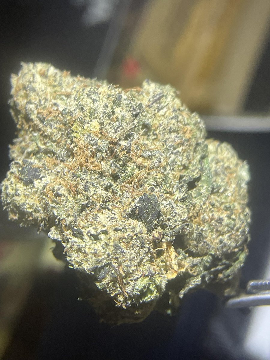 Mrrobot307's tweet image. 🔥 Zereal Terps are wild!
Sweet cereal milk 🥣✨ creamy vanilla 🍦 and fruity gas 🍇💨 — super smooth on every pull.

Shop now 👉 litfarms.com/Flower
Use code MrRobot for 10% off! 🌿🔥

#zereal #terps #litfarms #cannabis
#StonerFam #cannabisculture #CannabisCommunity