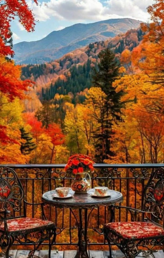 🌳🍁🍂

Enjoying coffee in front of the beautiful view.

☕❤️🍁