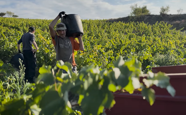 La campaña de temporerismo este año se ha alargado más de lo previsto, aunque sin problemas de mano de obra. Puedes ver la valoración realizada por UAGA aquí: uaga.eus/finalizada-la-…