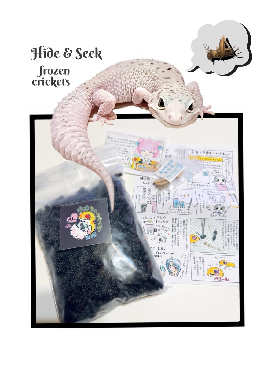 はいどあんどしーく.🎃エキゾ&えさやさん (@cagexxx) / Posts / X