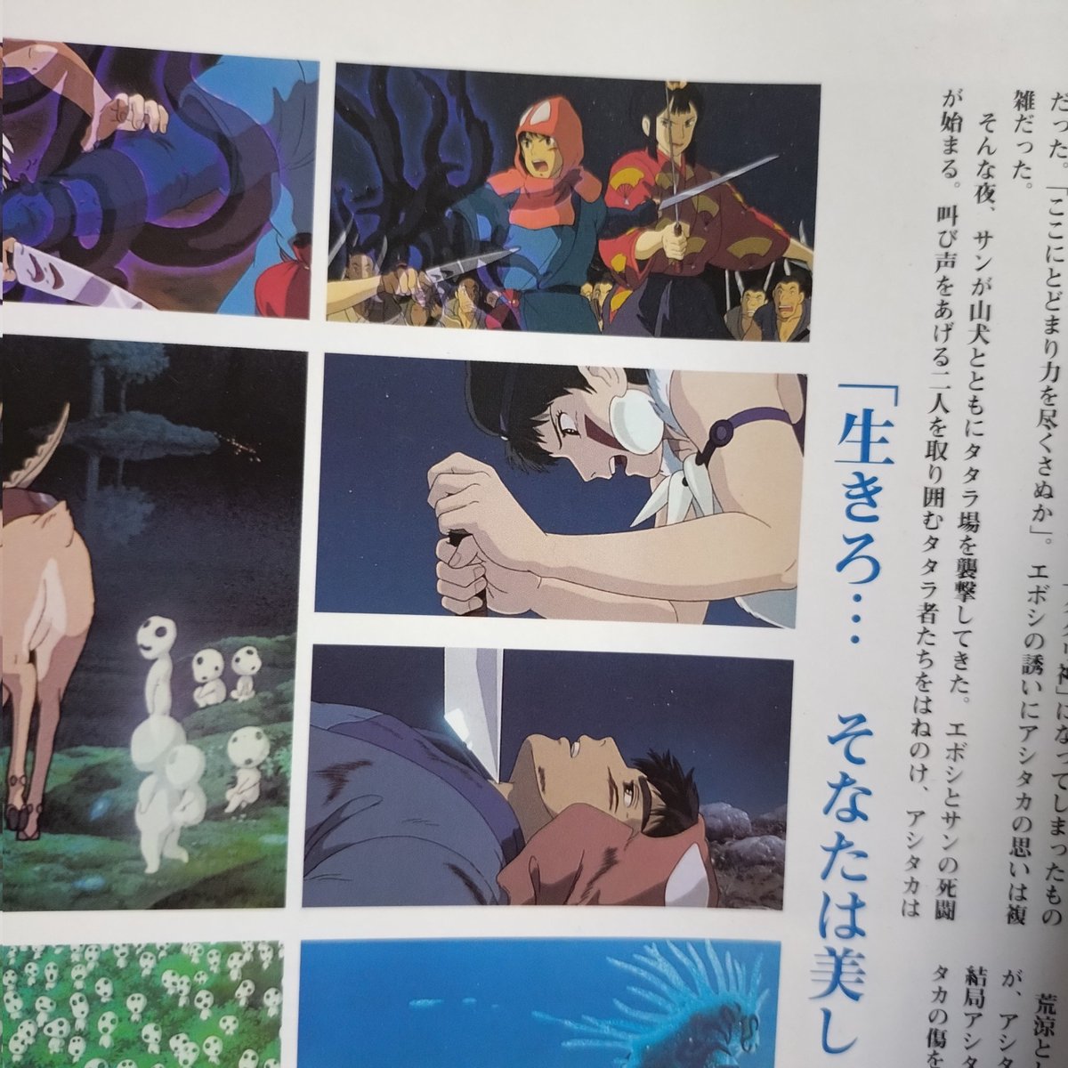 pullpiLbo's tweet image. アシタカって両利きなのか？🤔

刀は右手で持ってる気ぃするし、弓は左手？？

えっ…エボシとサンの間に割って入る時の刀は左？！

たぶん１０年ぶりくらいに劇場でもののけ姫見た！(前回も確か劇場で再演するとき観に行った！)

公開当時は小学生でシネコンとか無い時代に２回観に行ってた!