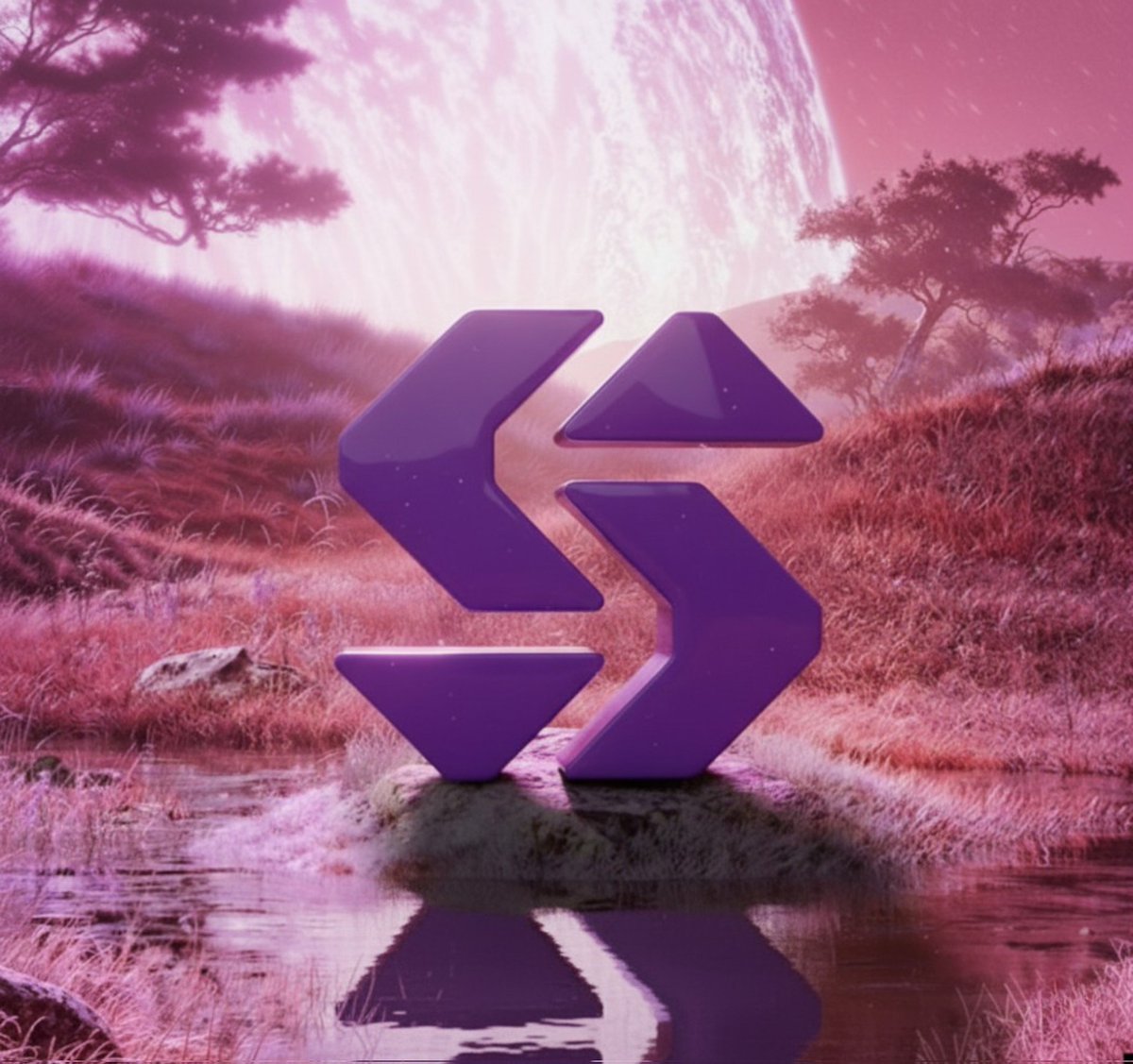 Solanex tweet media