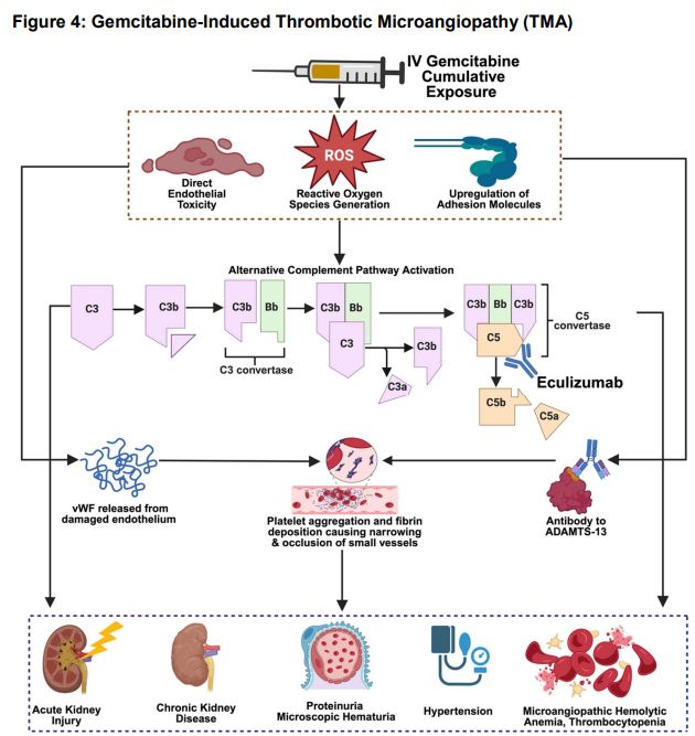 Now open access in <a href="/NDTsocial/">NDT</a>

Nephrotoxicity of Conventional Chemotherapeutics: Part I — Platinum Compounds and Antimetabolite Agents 

🧐Understanding these onconephrotoxic agents is essential for optimizing anticancer tx + minimizing nephrotoxicity.

▶️academic.oup.com/ndt/article/do…