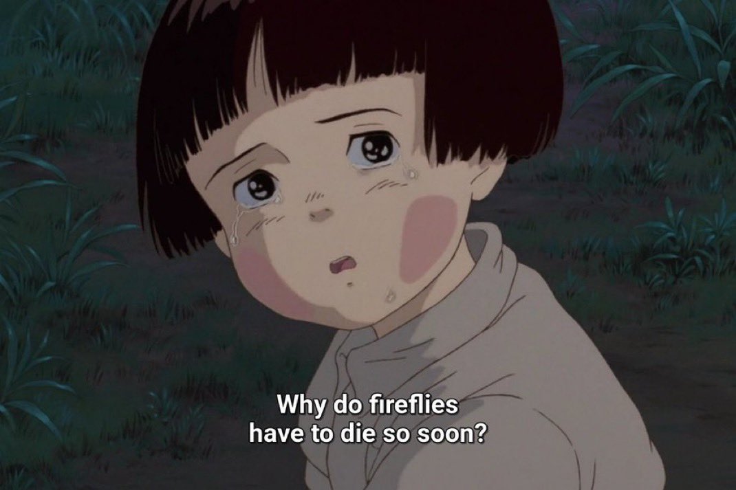 Lauren Ralph tweet media