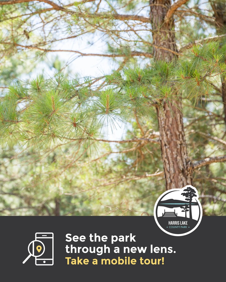 It’s #MobileTourMonday! Did you know that many <a href="/WakeGovParks/">Wake County Parks</a> have mobile tours you can enjoy at home or while in the park? Today we are featuring the Local Tree Loop Tour at #HarrisLake. To take the tour, visit: ow.ly/LQuE50PTUrt