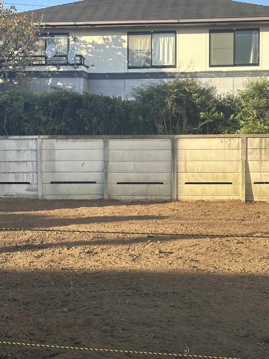 稽古終えて帰路についてからふと、
旗揚げ公演『にじ』を上演してから
今日で2年目を迎えたことに気づいた。

よた、2歳になりました。

写真は綺麗な空き地です。
第五回公演もよろしくお願いします！

　　　　　　　　　　　　　　　　　　上村