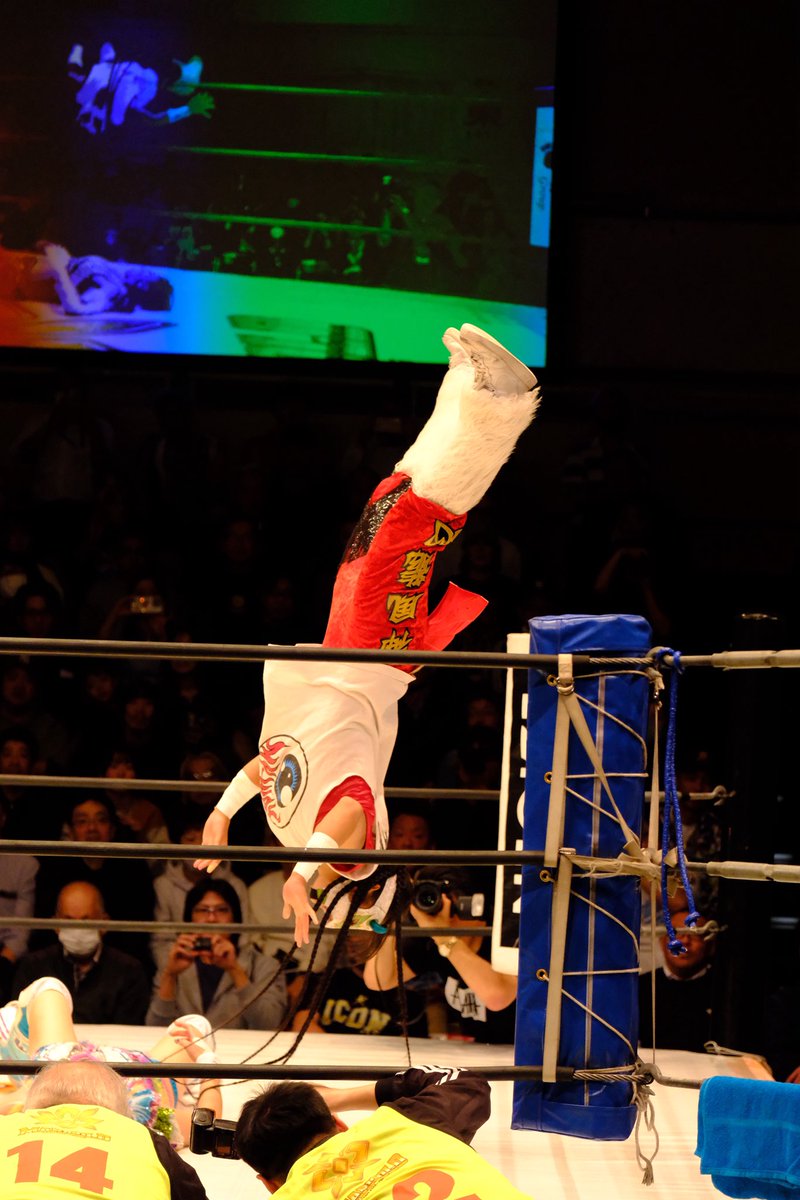 プロレス界のアイコン相手に躍動！
間違いなく今日の後楽園ホールの主役！
「天才」なんて一言で簡単に片付けてはいけない選手

#CoCo
#俺達のMYWAY
#pw_mg