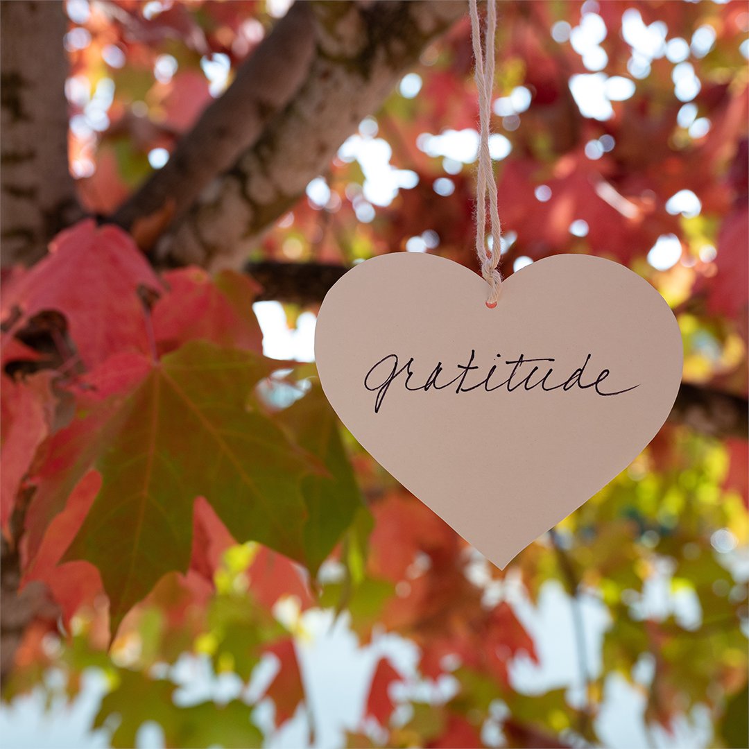 Gratitude and ambition can feel like competing forces — one calling for stillness, the other for speed. The best leaders know how to balance both, leading with appreciation while staying hungry for growth. Here are seven ways to navigate the paradox. widelensleadership.com/balancing-grat…