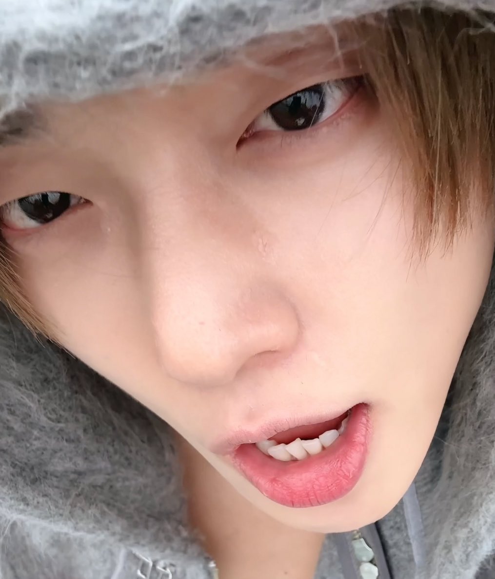 estrojun's tweet image. Kittycam