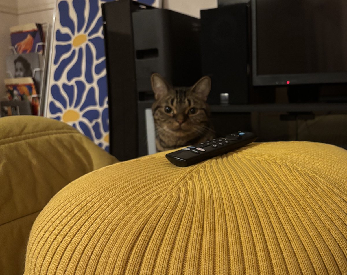 めっちゃ視線感じた