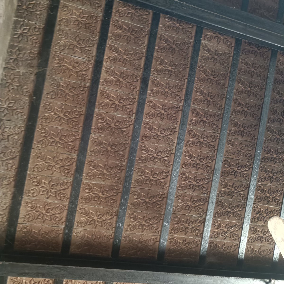 DoctorMash33826's tweet image. #backup 🌹🌹🌹🌹🌹🌹🌹