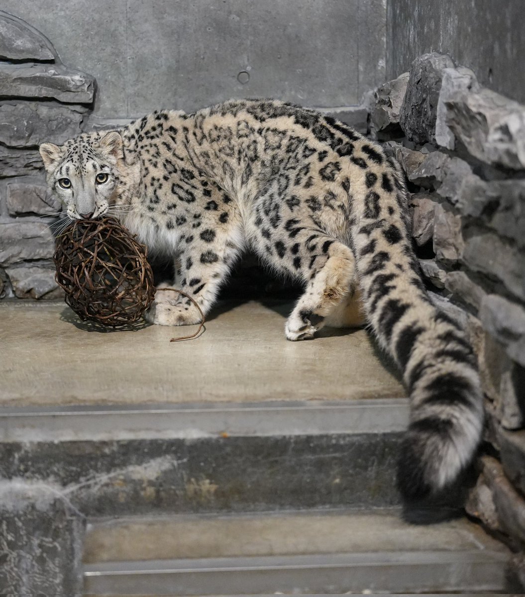 WOAH, I NEVER MEANT TO BRAG
BUT I GOT HIM WHERE I WANT HIM NOW
WOAH, IT WAS NEVER MY INTENTION TO BRAG
TO STEAL IT ALL AWAY FROM YOU NOW
BUT GOD, DOES IT FEEL SO GOOD
'CAUSE I GOT HIM WHERE I WANT HIM NOW
AND IF YOU COULD, THEN YOU KNOW YOU WOULD
'CAUSE GOD, IT JUST FEELS SO