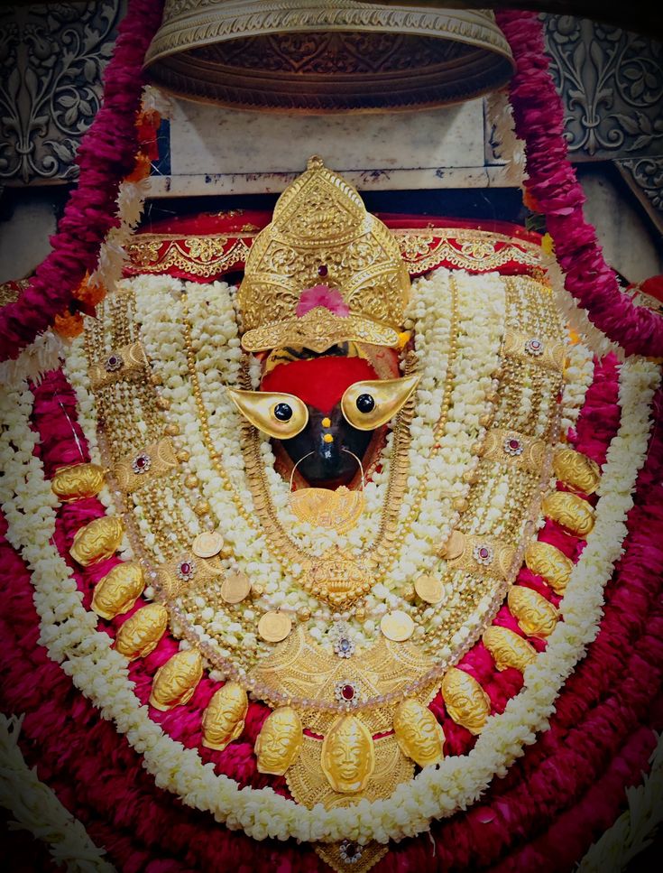 जय हो माँ विंध्यवासिनी 🌸