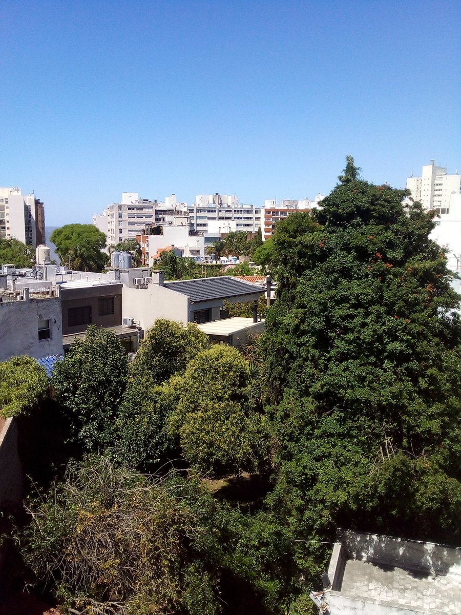 Buenos días! Buen comienzo de semana💪