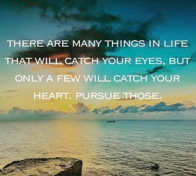 JamesLuter5's tweet image. Tip of the day: Success rises when you stay focused on what truly matters.

“The Path to Purpose” is available at a.co/d/gA3zUWU

#betterispossible #dailyinspiration #EmbraceYourWholeness #SeeTheGood #RiseTowardsSuccess #StrengthsAndValue #PositiveMindset #fyp