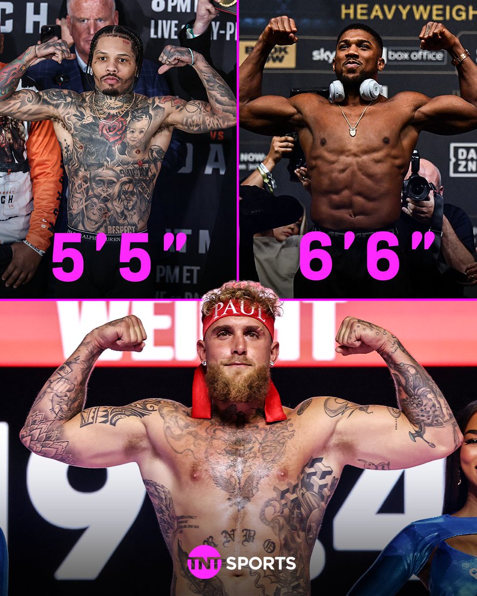 boxingontnt's tweet photo. Jake Paul went from fighting 5' 5" Gervonta Davis... to 6' 6" Anthony Joshua 🥊📏

Guess you could call it a big step up 😅 https://t.co/XSumDOdHIM