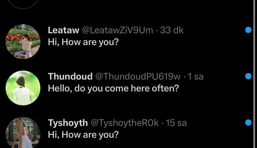 Bunların tam olarak mantığı ne ya salak olsam birileri harbiden beni merak edip tanışmak istiyor sanıcam