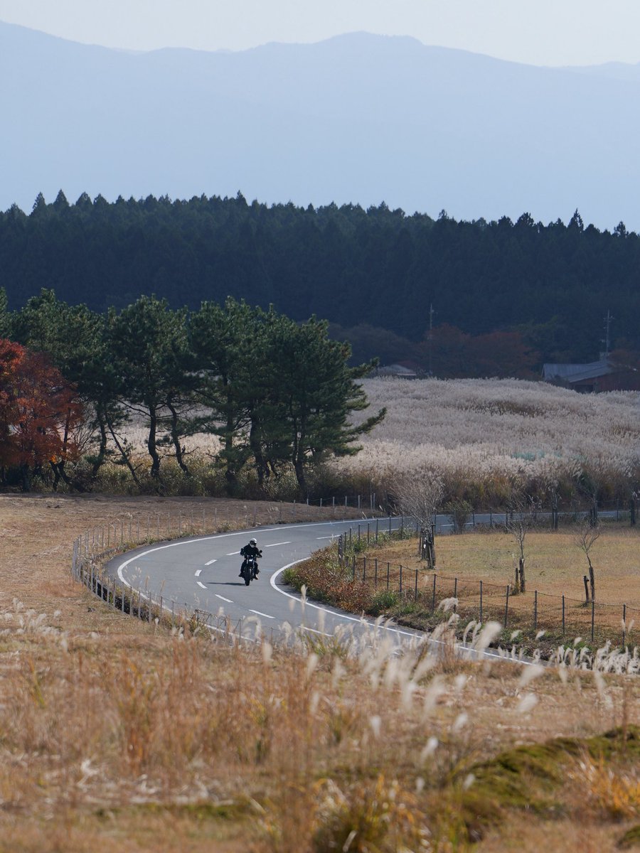 black_serow's tweet photo. 奥のススキの大群や杉林に陽が差してくれたらまた違った迫力があったろうな。あと手前の草原にももう少しススキがほしかった。
地味ながらもこの写真は結構気に入ってる。 https://t.co/aRptKWz5h5