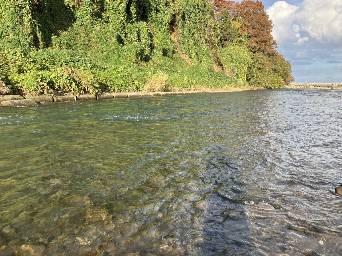 FFDOTBUM's tweet photo. 新潟県糸魚川市能生川でサーモン���ライフィッシングに挑戦❗️撃沈するもトライすることに価値あり👊来年リベンジ決定です
#フライフィッシング #鮭釣り
#糸魚川 #能生川 #サーモンフィッシング
#flyfishing https://t.co/6J7rIcZvQq