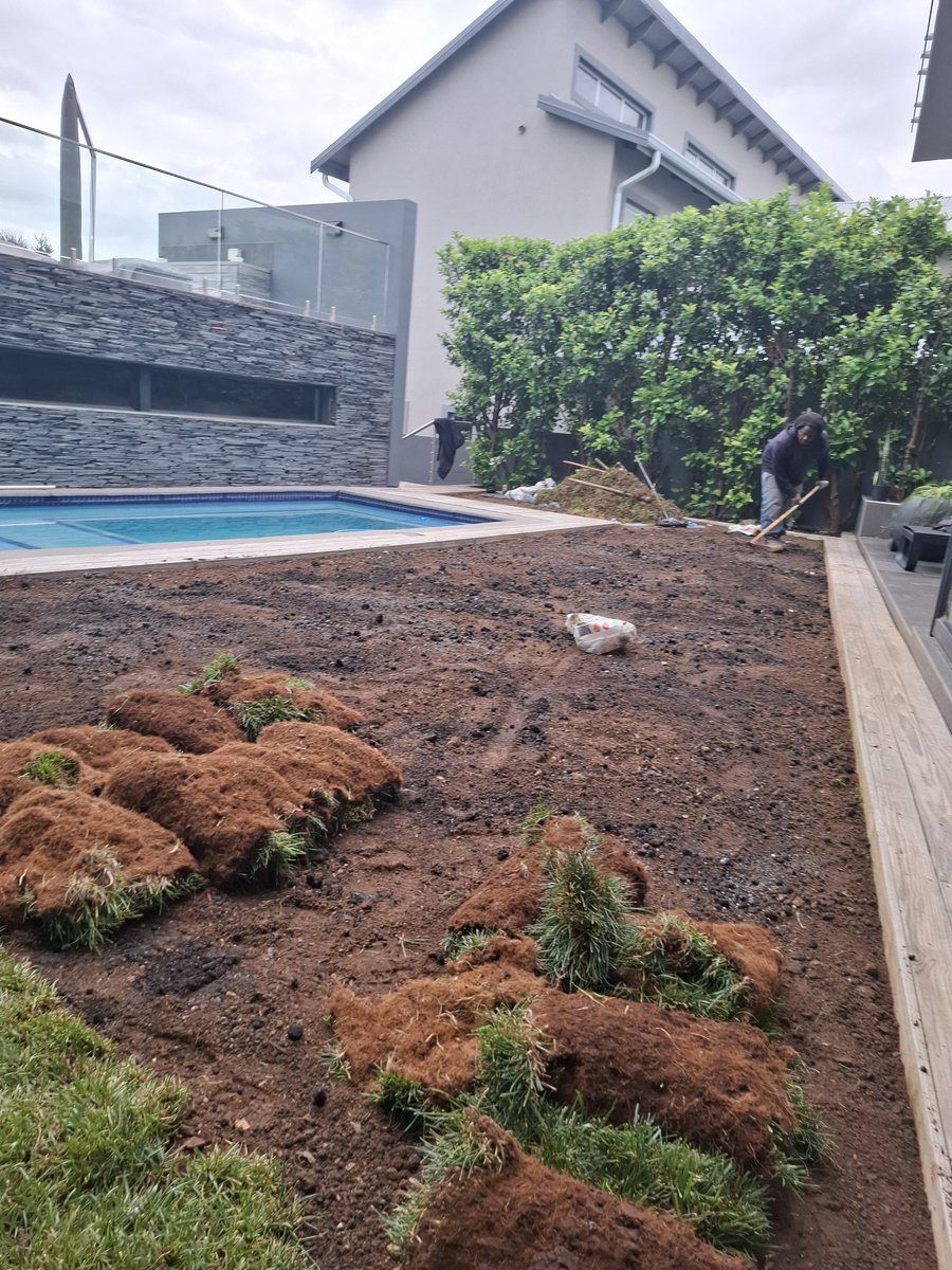 AmukeloProjects's tweet photo. Our prices , Supplying Only-
Evergreen per m² R110(All Seasons) same grass on attached pictures.
Kikuyi lawn per m² R70(Warm Season)
LM Grass per m² R110 (Semi-Shade)
We are based in Kempton Park Gauteng. 081 450 5918 
#MadlangaCommision #G20SouthAfrica @SizweDhlomo https://t.co/uscXVshWXZ