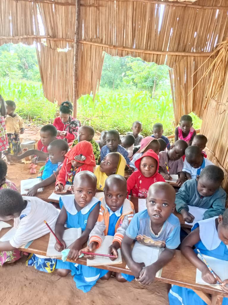 PHFOrganization's tweet image. 