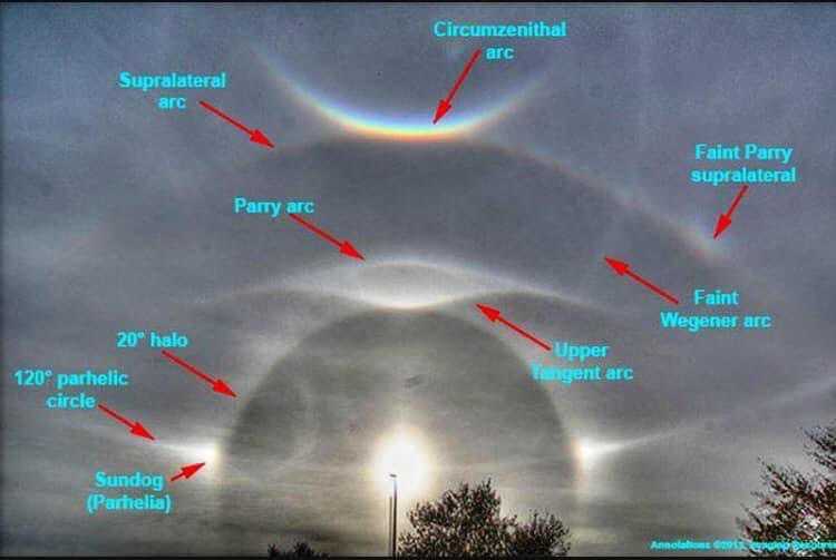 Flat Earth Zone tweet media