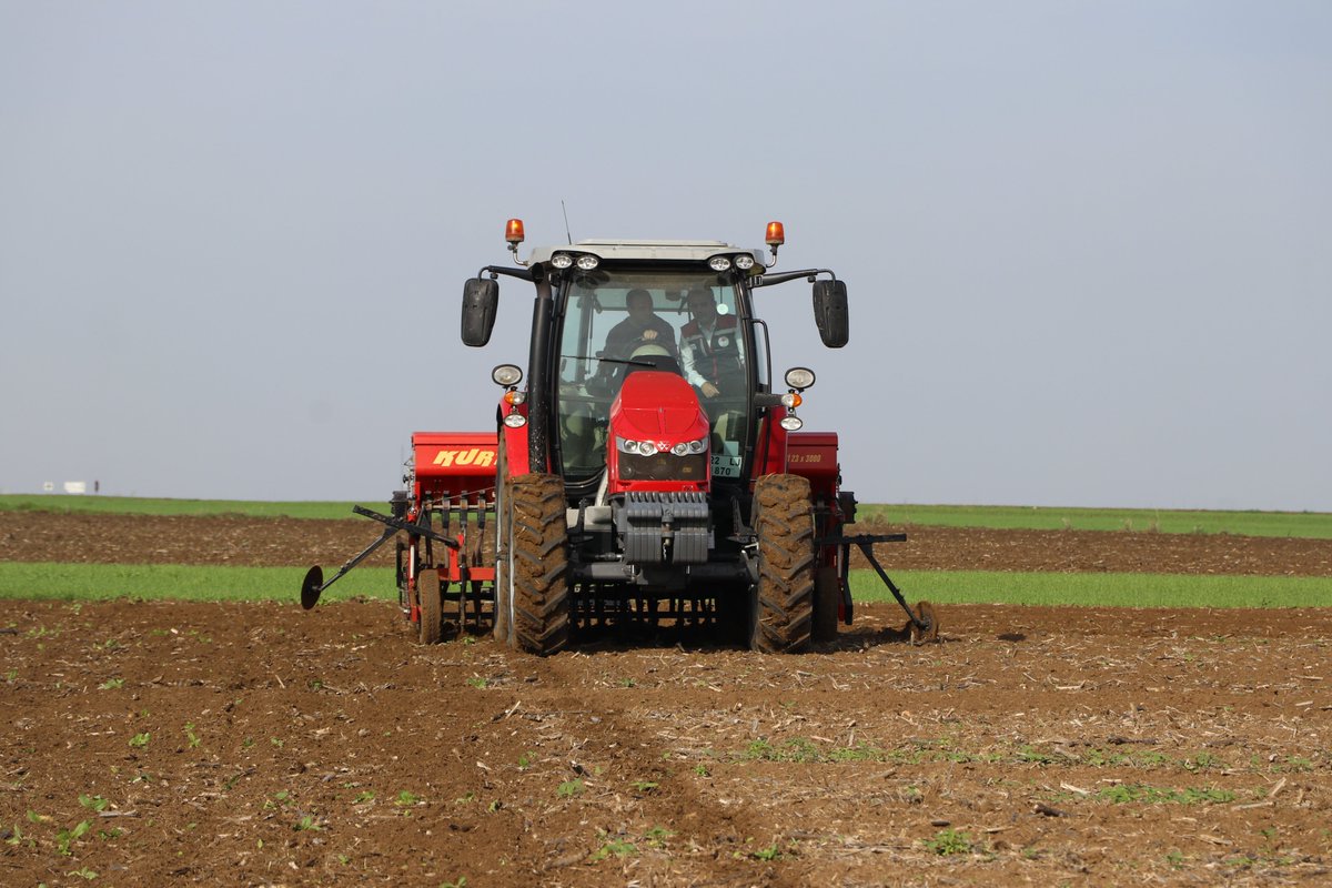İl Müdürlüğümüz ile Tekirdağ Namık Kemal Üniversitesi iş birliğiyle yürütülen “Farklı Toprak İşleme Yöntemlerinin ve Ekim Zamanlarının Ayçiçeği Verim ve Verim Unsurlarına Etkileri” Projesi kapsamında,  deneme sahası çalışmaları devam ediyor.
👇👇👇👇
facebook.com/edirnetarimorm…