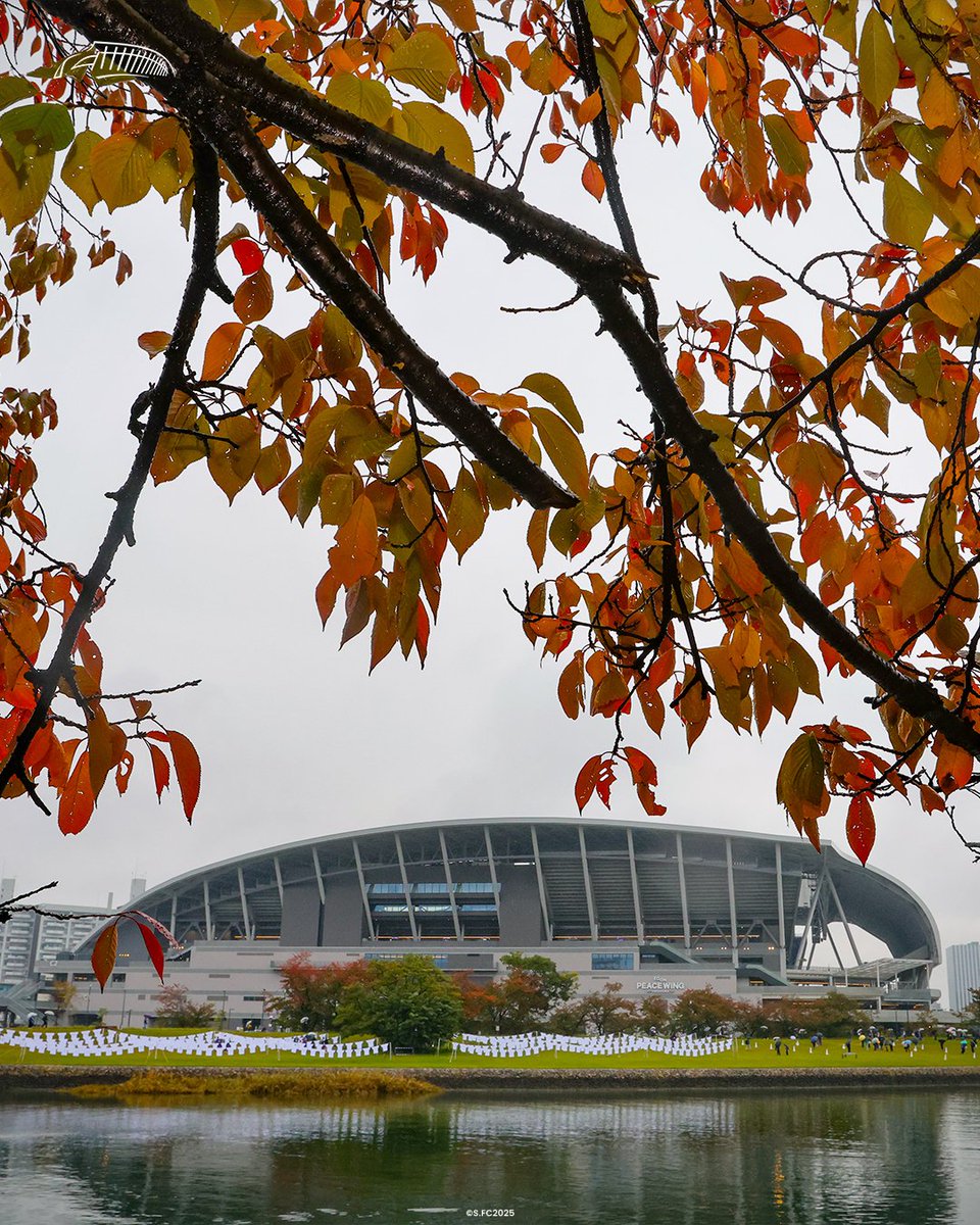 PeaceWingH's tweet image. A peaceful changing of the seasons 🍂💜🏟️🕊️

#sanfrecce #hiroshima #projectone #peacewinghiroshima