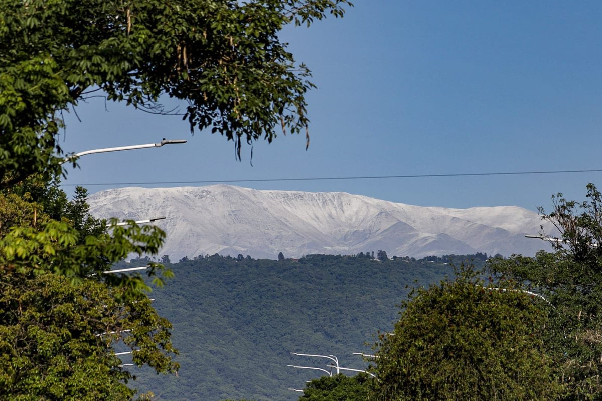 Rodrigo Bolondi tweet media