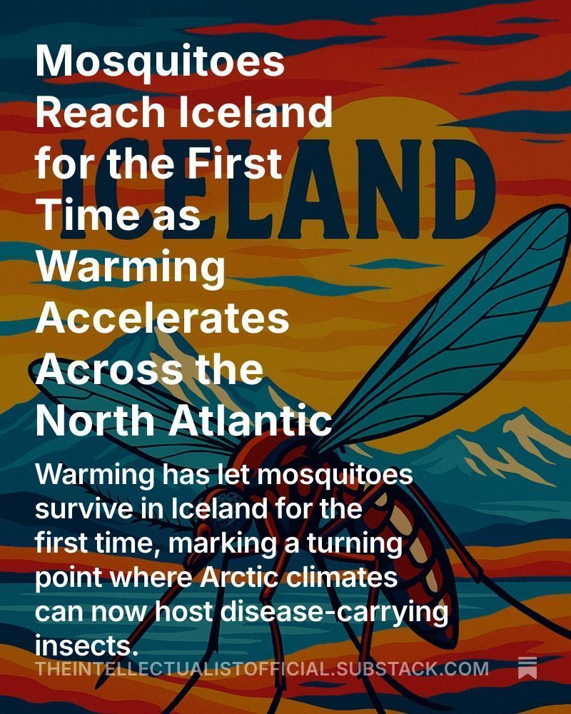 For the first time, mosquitoes have reached Iceland, a clear sign of a planet in rapid flux. As the Arctic warms four times faster than the rest of the world, even the cold's last refuge is no longer mosquito free.
open.substack.com/pub/theintel...