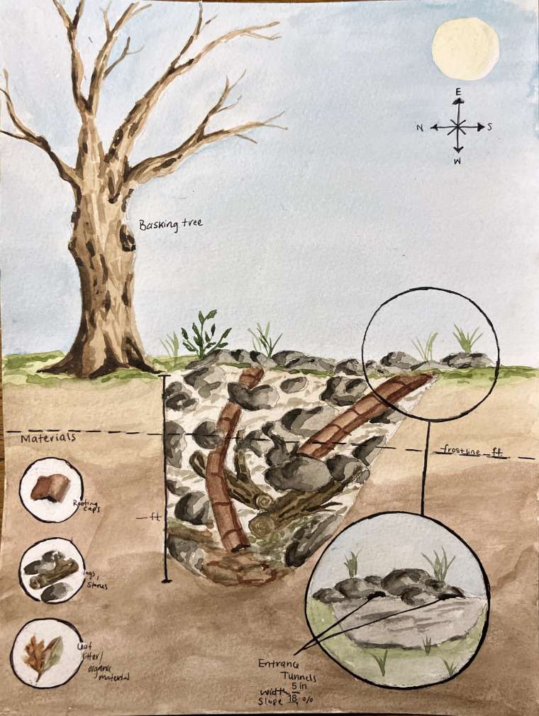 National Wildlife Federation tweet media