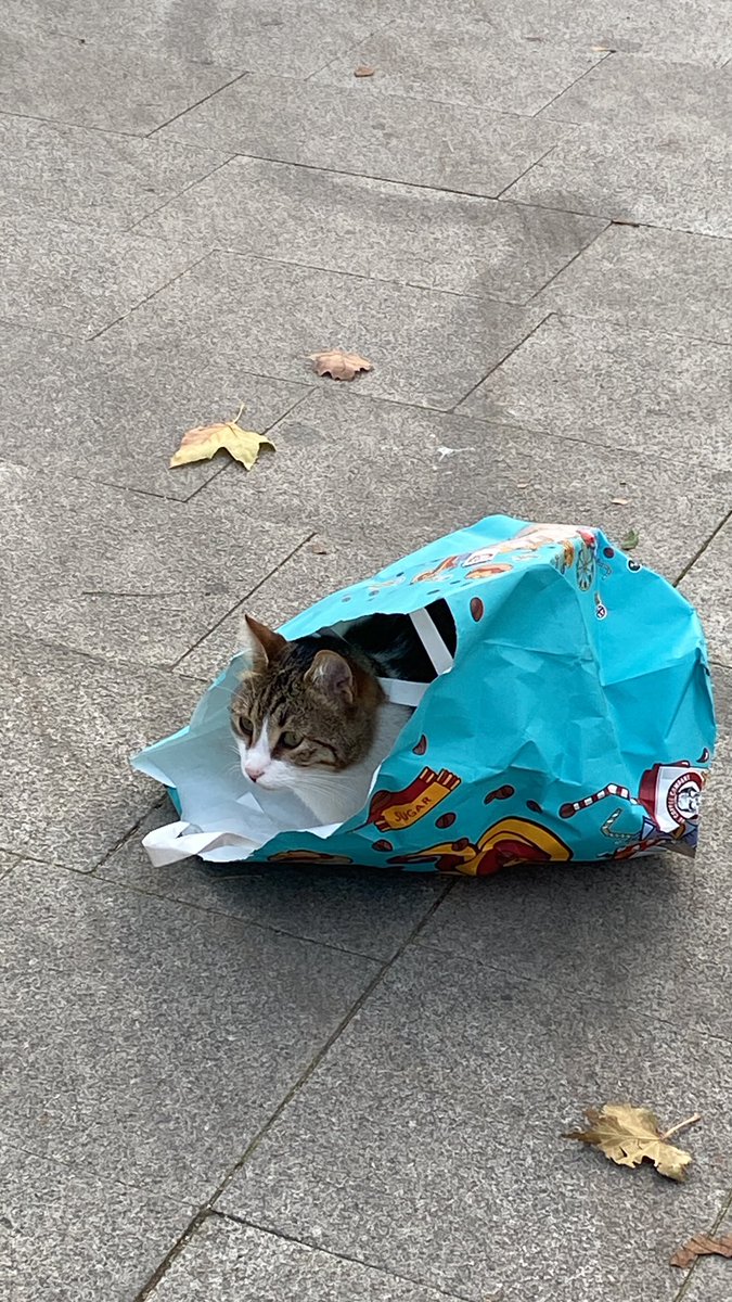 Deli bunlar deli 😂

İyi akşamlar herkese